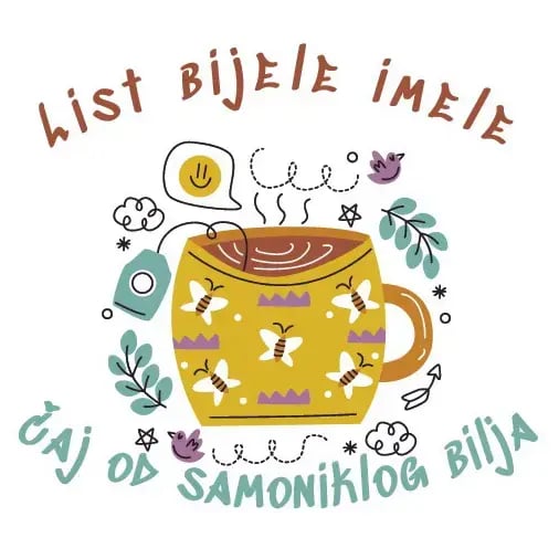 12 - Bijela imela (list)